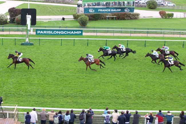 Photo d'arrivée de la course pmu PRIX DE SAINT-CYR à LONGCHAMP le Dimanche 20 octobre 2024