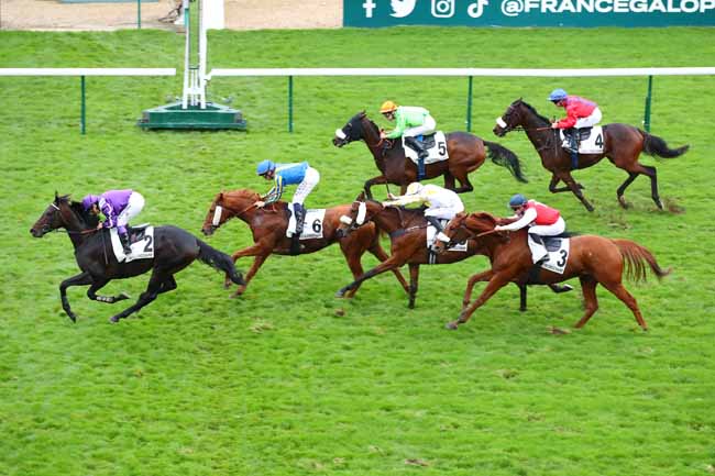 Photo d'arrivée de la course pmu PRIX DES ERABLES à LONGCHAMP le Dimanche 20 octobre 2024