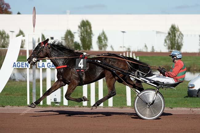Photo d'arrivée de la course pmu GRAND PRIX BARON D'ARDEUIL AOC BUZET à AGEN LE PASSAGE le Mercredi 23 octobre 2024