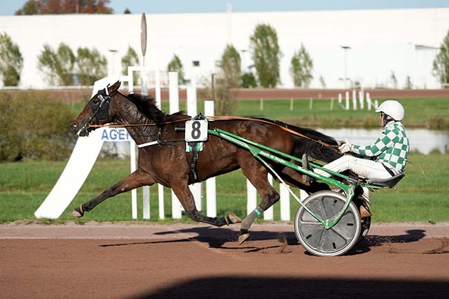 Photo d'arrivée de la course pmu PRIX DE BEAUMONT-DE-LOMAGNE à AGEN LE PASSAGE le Mercredi 23 octobre 2024