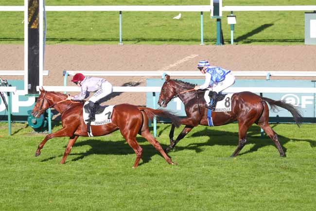 Photo d'arrivée de la course pmu PRIX DE SAINT-DESIR à DEAUVILLE le Mercredi 23 octobre 2024