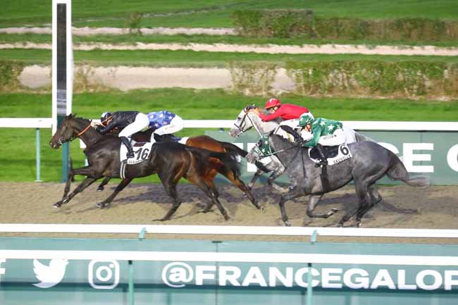 Photo d'arrivée de la course pmu PRIX DE LA FORET DU ROUVRAY à DEAUVILLE le Mercredi 23 octobre 2024