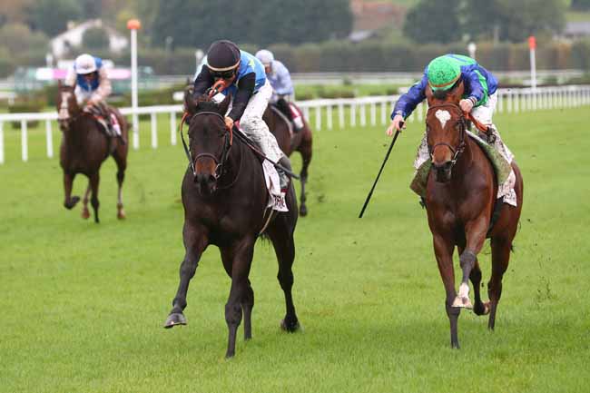 Photo d'arrivée de la course pmu PRIX LE PUR SANG DEAUVILLE (PRIX DE L'HIPPODROME FLEURI) à CLAIREFONTAINE le Vendredi 25 octobre 2024