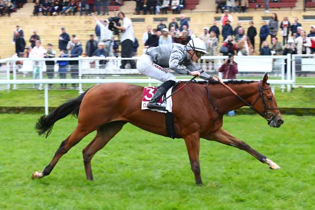 Photo d'arrivée de la course pmu PRIX IN EXTENSO (PRIX CHARLIE ELLIOTT) à CLAIREFONTAINE le Vendredi 25 octobre 2024