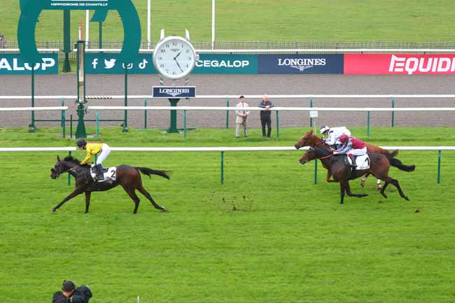 Photo d'arrivée de la course pmu PRIX DES DAUPHINES - TROPHEE STUDIO HARCOURT à CHANTILLY le Samedi 26 octobre 2024
