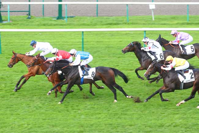 Photo d'arrivée de la course pmu PRIX MIESQUE à CHANTILLY le Samedi 26 octobre 2024