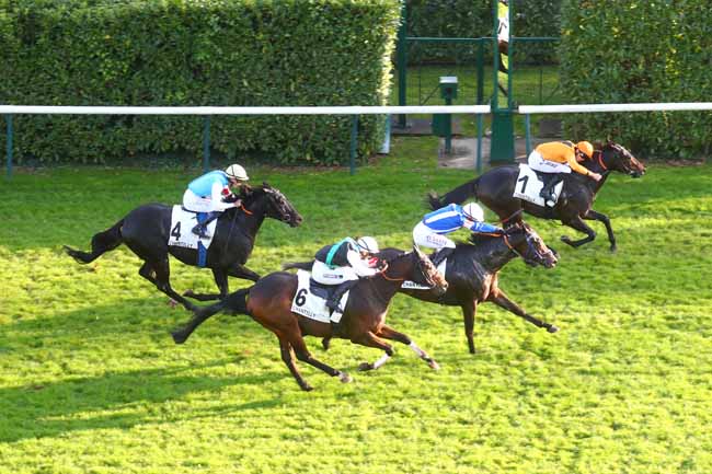 Photo d'arrivée de la course pmu PRIX DE LA VIEILLE ROUTE à CHANTILLY le Samedi 26 octobre 2024