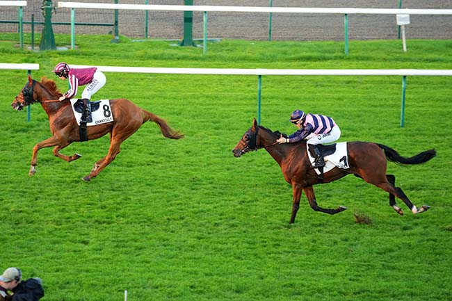 Photo d'arrivée de la course pmu PRIX DE SAINT-IMIER à CHANTILLY le Samedi 26 octobre 2024