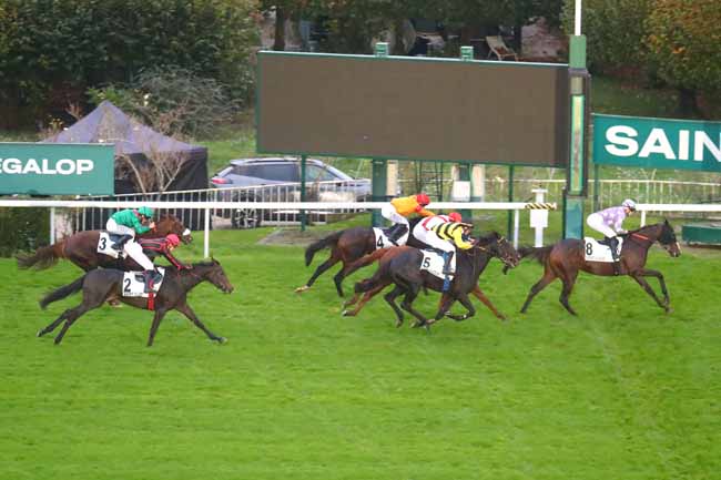Photo d'arrivée de la course pmu PRIX DES HARAS à SAINT CLOUD le Dimanche 27 octobre 2024