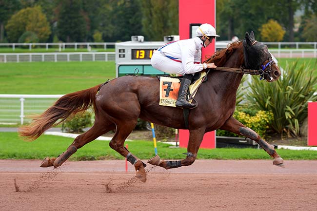 Photo d'arrivée de la course pmu PRIX QUADRILLE à ENGHIEN le Dimanche 27 octobre 2024