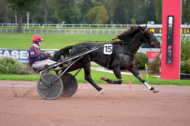 Photo d'arrivée de la course pmu PRIX DE SAINT-AMAND-LES-EAUX à ENGHIEN le Dimanche 27 octobre 2024