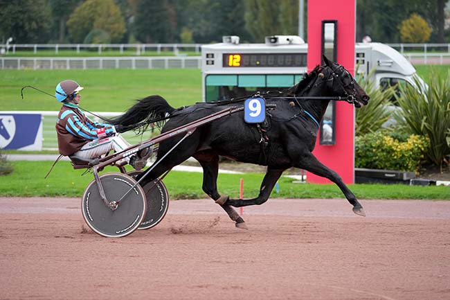 Photo d'arrivée de la course pmu PRIX DE LA PORTE D'AUBERVILLIERS à ENGHIEN le Dimanche 27 octobre 2024
