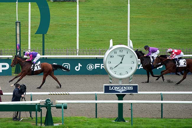 Photo d'arrivée de la course pmu PRIX DE LA FORET DE COYE à CHANTILLY le Lundi 28 octobre 2024