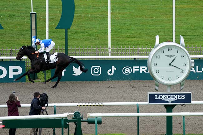 Photo d'arrivée de la course pmu PRIX DU VERGALY à CHANTILLY le Lundi 28 octobre 2024