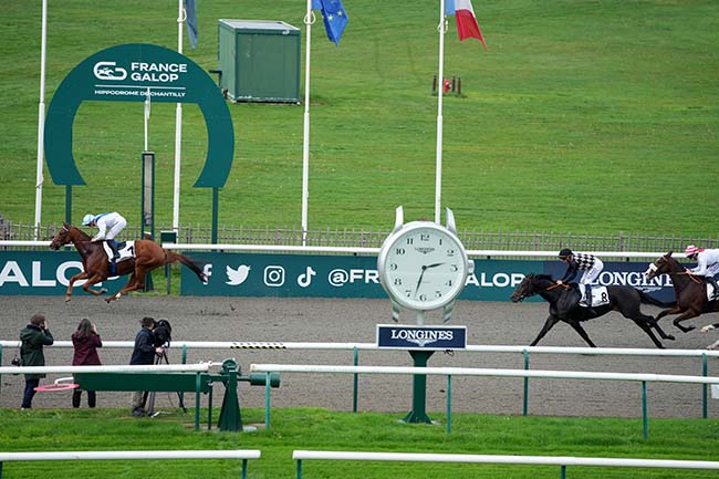Photo d'arrivée de la course pmu PRIX DE L'IMPASSE DES CARRIERES à CHANTILLY le Lundi 28 octobre 2024