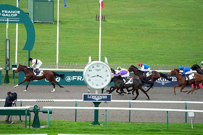 Photo d'arrivée de la course pmu PRIX DU BOIS DE BONNET à CHANTILLY le Lundi 28 octobre 2024