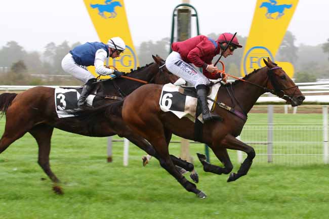 Photo d'arrivée de la course pmu PRIX DES GORGES D'APREMONT à FONTAINEBLEAU le Lundi 28 octobre 2024