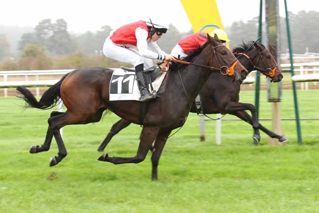 Photo d'arrivée de la course pmu PRIX PATRICE QUENEDEY - PELOTON B à FONTAINEBLEAU le Lundi 28 octobre 2024