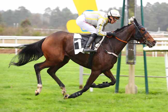 Photo d'arrivée de la course pmu PRIX DU THEATRE IMPERIAL DU CHATEAU DE FONTAINEBLEAU à FONTAINEBLEAU le Lundi 28 octobre 2024