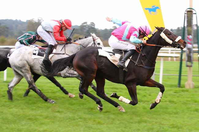Photo d'arrivée de la course pmu GRANDE COURSE DE HAIES DE FONTAINEBLEAU à FONTAINEBLEAU le Lundi 28 octobre 2024