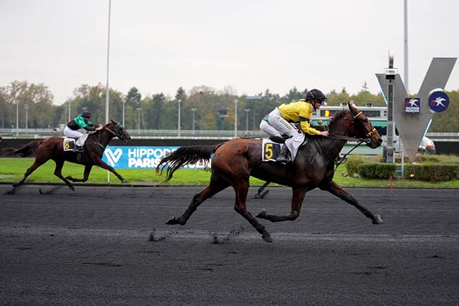 Photo d'arrivée de la course pmu PRIX DE CLION à PARIS-VINCENNES le Mardi 29 octobre 2024