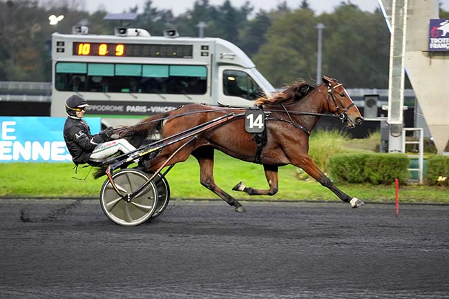 Photo d'arrivée de la course pmu PRIX DE FORMERIE à PARIS-VINCENNES le Mardi 29 octobre 2024