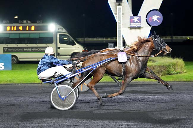 Photo d'arrivée de la course pmu PRIX ARIADNE à PARIS-VINCENNES le Mardi 29 octobre 2024