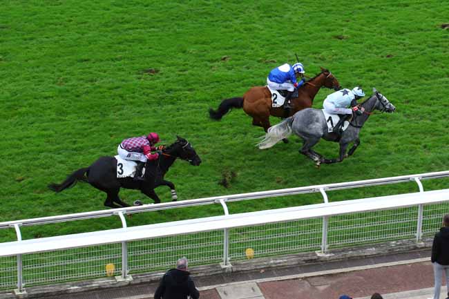 Photo d'arrivée de la course pmu PRIX LA FREGATE à AUTEUIL le Mercredi 30 octobre 2024