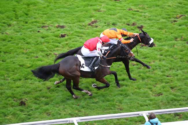 Photo d'arrivée de la course pmu PRIX CAP à AUTEUIL le Mercredi 30 octobre 2024