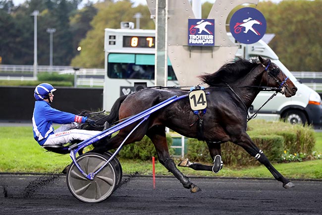 Photo d'arrivée de la course pmu PRIX D'AUBAGNE à PARIS-VINCENNES le Mercredi 30 octobre 2024