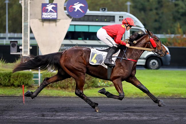 Photo d'arrivée de la course pmu PRIX LOUIS TILLAYE à PARIS-VINCENNES le Mercredi 30 octobre 2024