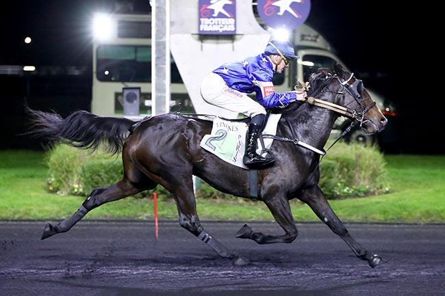 Photo d'arrivée de la course pmu PRIX DE PESSAC à PARIS-VINCENNES le Mercredi 30 octobre 2024
