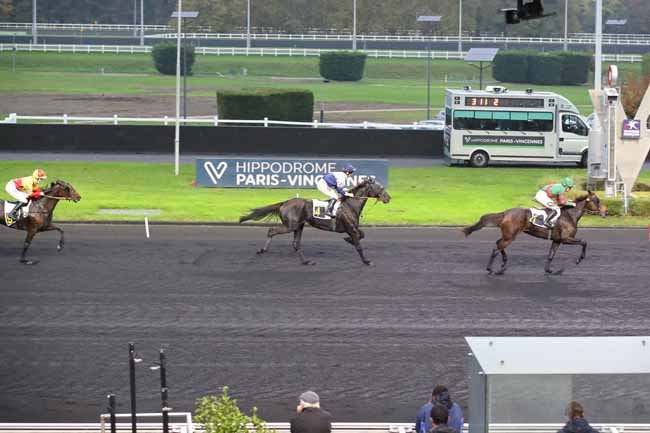 Photo d'arrivée de la course pmu PRIX D'AVESNES à PARIS-VINCENNES le Jeudi 31 octobre 2024