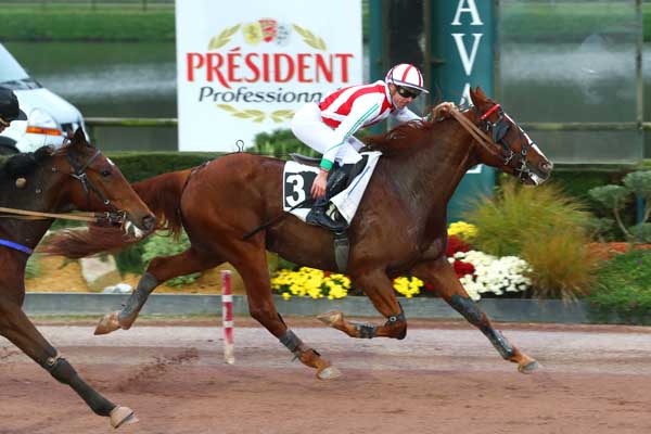 Photo d'arrivée de la course pmu PRIX ANNICK ET GEORGES DREUX à LAVAL le Vendredi 1 novembre 2024
