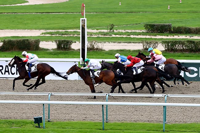 Photo d'arrivée de la course pmu PRIX DE LA ROCQUE à DEAUVILLE le Dimanche 3 novembre 2024