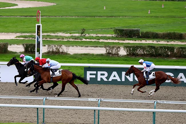 Photo d'arrivée de la course pmu PRIX ZEDDAAN à DEAUVILLE le Dimanche 3 novembre 2024