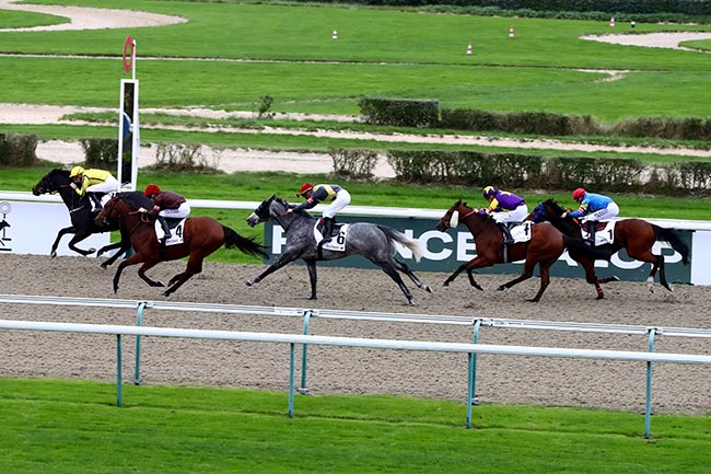 Photo d'arrivée de la course pmu PRIX IRISH RIVER - POLYTRACK CHALLENGE à DEAUVILLE le Dimanche 3 novembre 2024