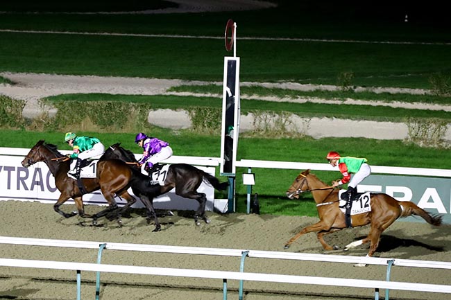 Photo d'arrivée de la course pmu PRIX DU PLATEAU DE MADRIE à DEAUVILLE le Dimanche 3 novembre 2024