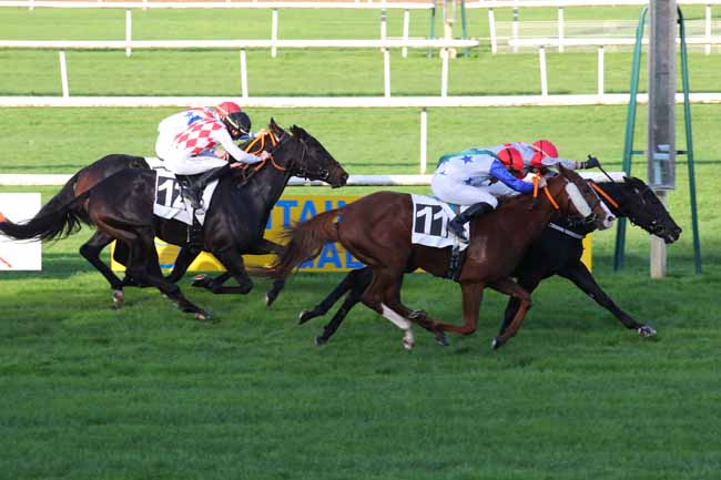 Photo d'arrivée de la course pmu PRIX GUY THIBAULT à FONTAINEBLEAU le Lundi 4 novembre 2024
