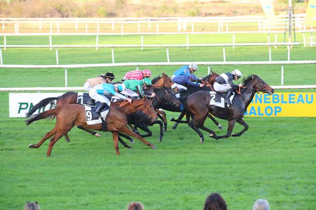 Photo d'arrivée de la course pmu PRIX DES PINS LARICIO à FONTAINEBLEAU le Lundi 4 novembre 2024