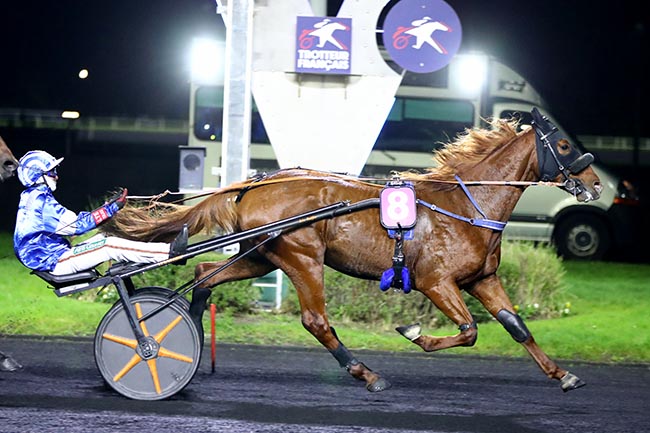 Photo d'arrivée de la course pmu PRIX GEMINUS à PARIS-VINCENNES le Lundi 4 novembre 2024