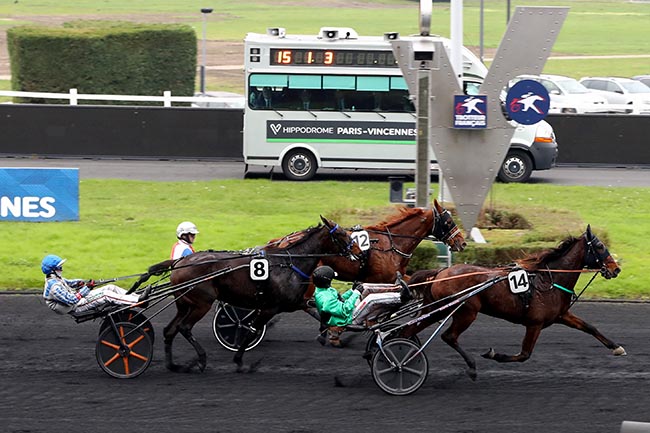 Photo d'arrivée de la course pmu PRIX DE SENONNES à PARIS-VINCENNES le Mardi 5 novembre 2024