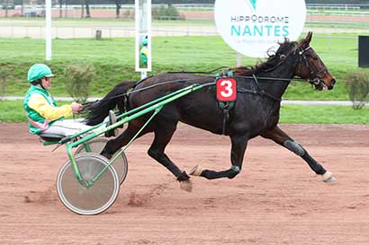 Photo d'arrivée de la course pmu PRIX MG STORE NANTES à NANTES le Mercredi 6 novembre 2024