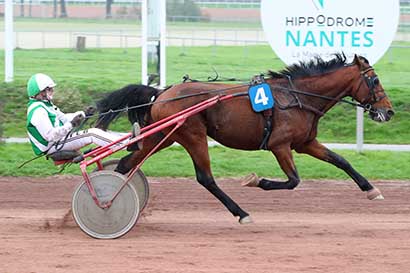 Photo d'arrivée de la course pmu PRIX DE LA REGION PAYS DE LOIRE à NANTES le Mercredi 6 novembre 2024