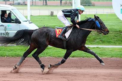 Photo d'arrivée de la course pmu PRIX DU SALON DU CHEVAL D'ANGERS à NANTES le Mercredi 6 novembre 2024