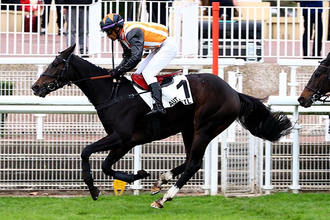 Photo d'arrivée de la course pmu PRIX MARLY RIVER à AUTEUIL le Mercredi 6 novembre 2024