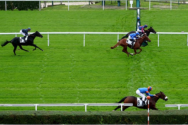 Photo d'arrivée de la course pmu PRIX ANTIVARI à SAINT CLOUD le Dimanche 10 novembre 2024