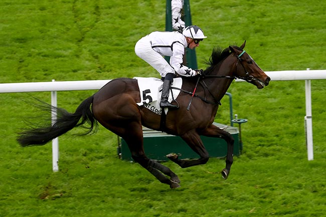 Photo d'arrivée de la course pmu PRIX HEROD à SAINT CLOUD le Dimanche 10 novembre 2024