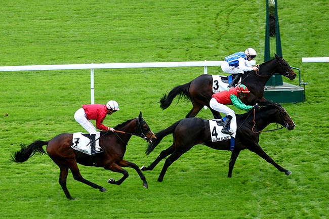 Photo d'arrivée de la course pmu PRIX TANTIEME à SAINT CLOUD le Dimanche 10 novembre 2024