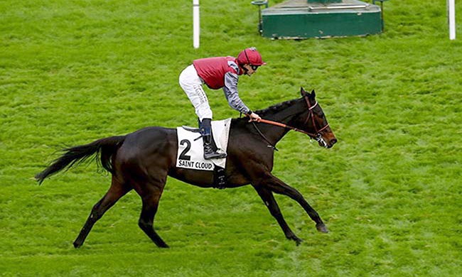 Photo d'arrivée de la course pmu PRIX SOLITUDE à SAINT CLOUD le Dimanche 10 novembre 2024